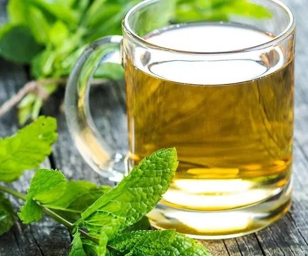 микадо - онлайн Self Check-in 3* Burgaz