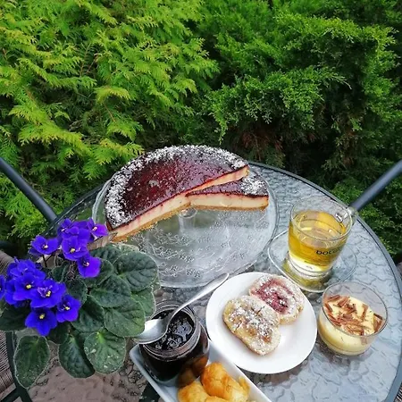 ميكادو فندق بورغاس