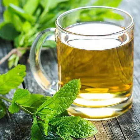 микадо 3* Бургас