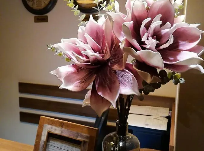 Отель микадо Бургас